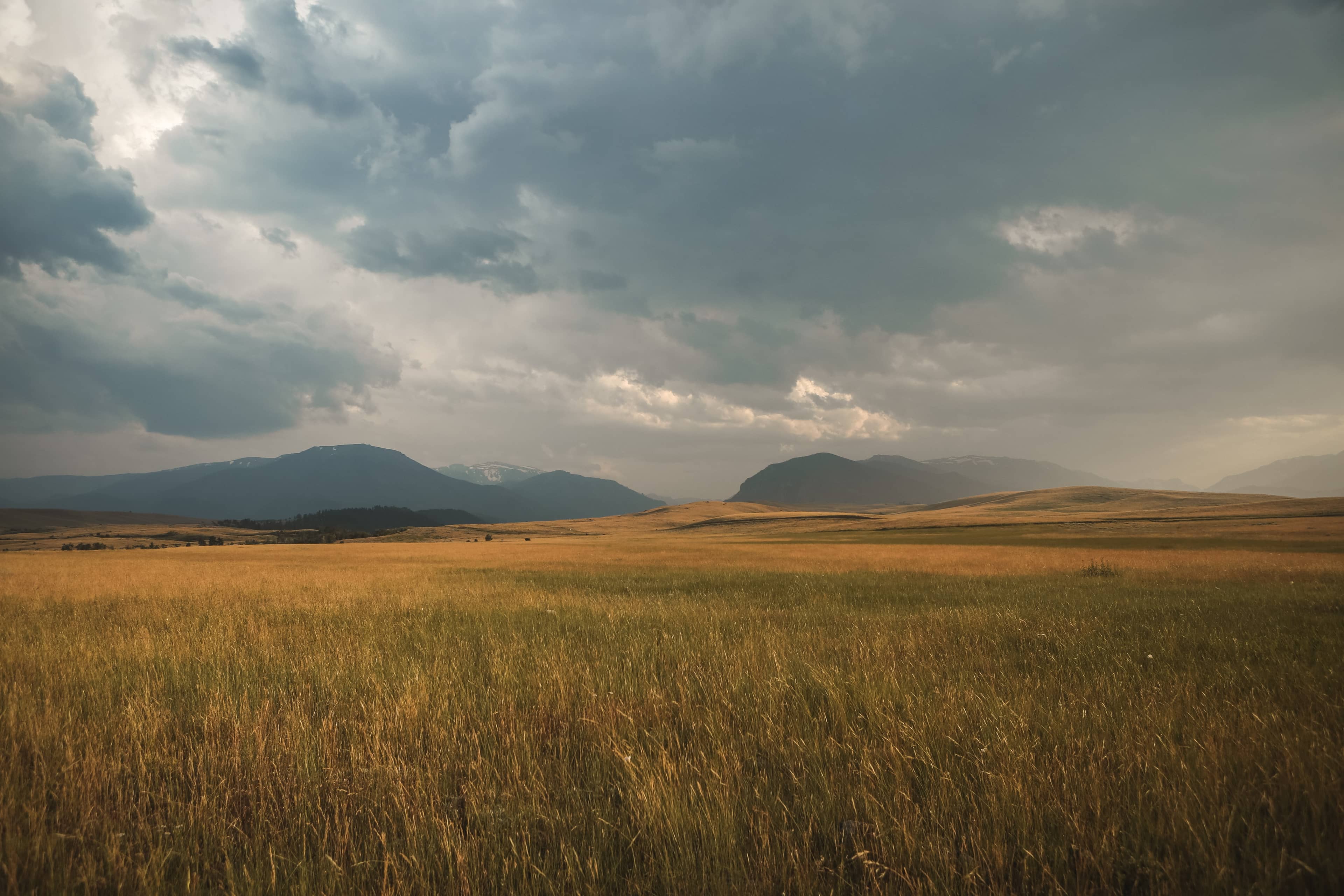 Northern Plains Landing Image